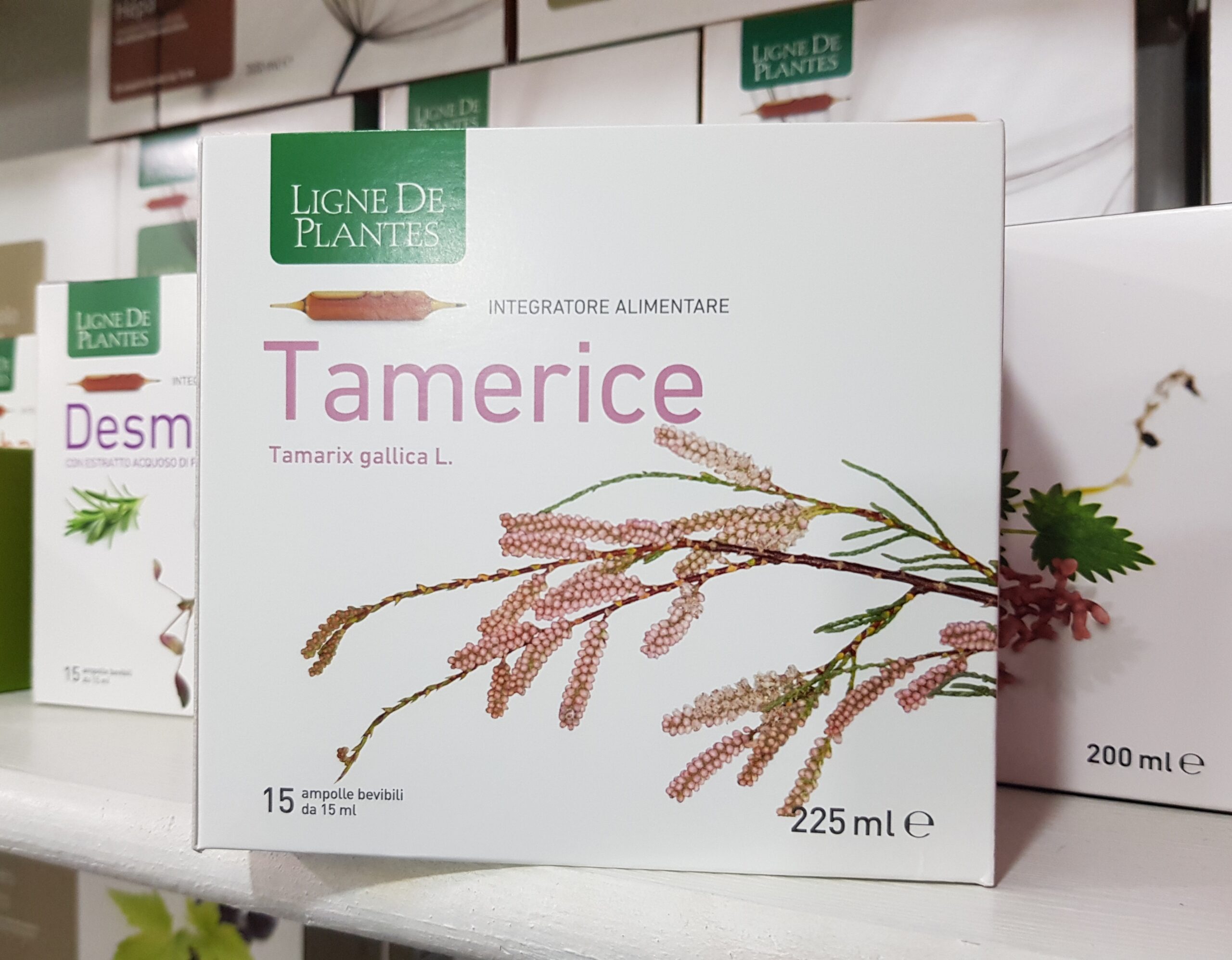 Tamerice – Ligne de plantes - immagine 2