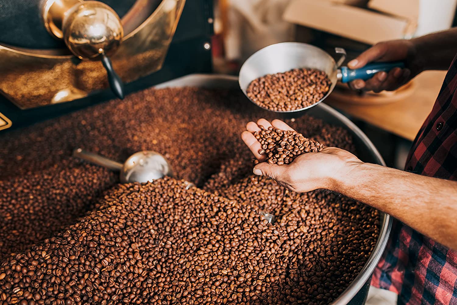 CAFFE’ MOTTA Caffe in Grani 1 kg, Chicchi di Caffè Qualità Lounge Bar Espresso Classico Miscela Arabica e Robusta, Made in Italy - immagine 5